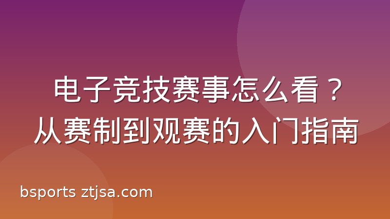 电子竞技赛事怎么看?从赛制到观赛的入门指南