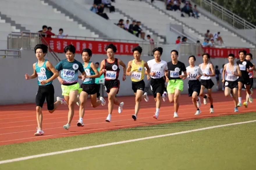 天天体育2026年全球赛事内容平台